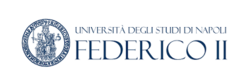 University of Naples Federico II (UNINA), Italy