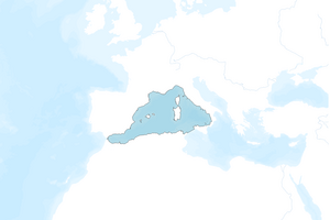 Map showing the boundries of the planning site